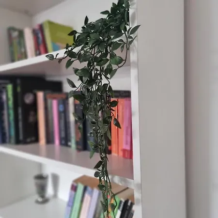 Naehe Duesseldorf Messe Expo, Airport, Train Station